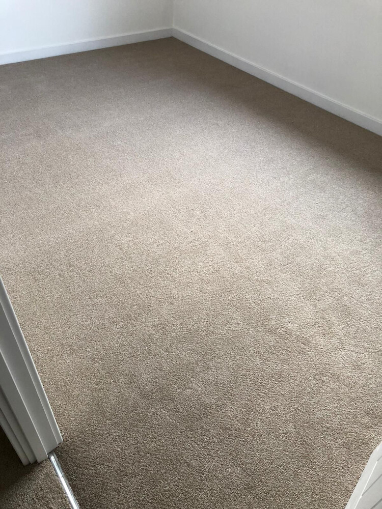 Carpet Flooring  - 4