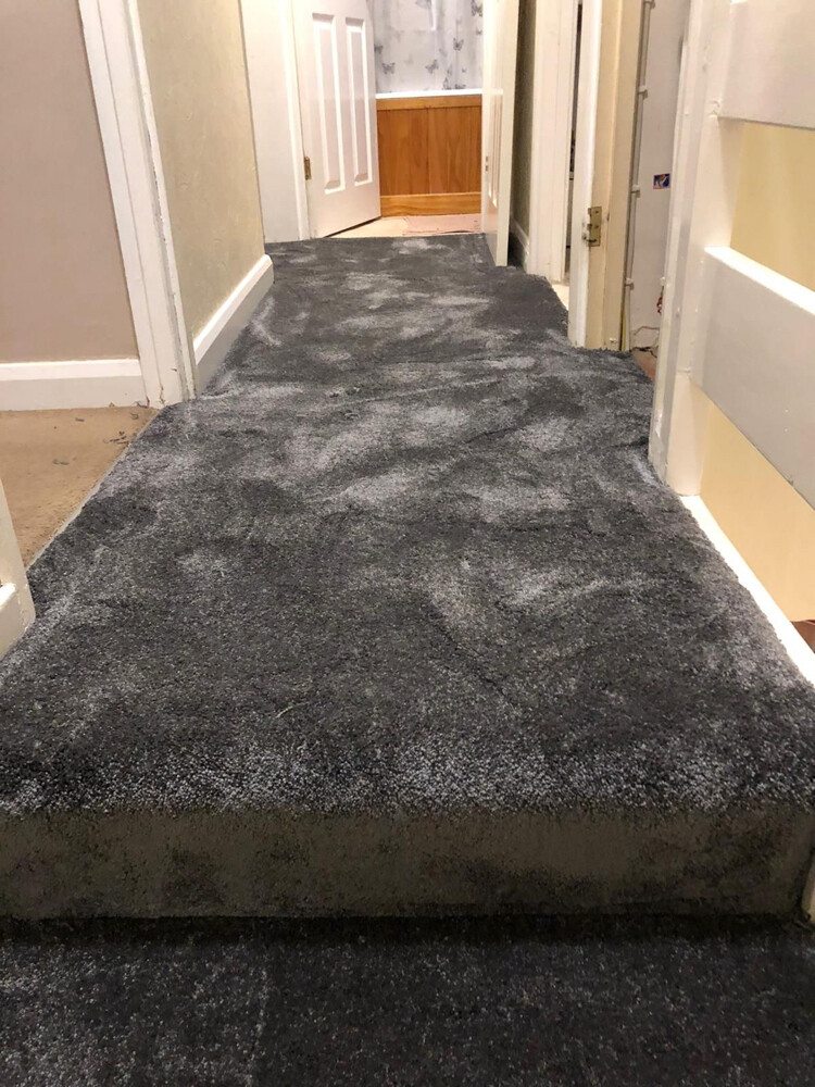Carpet Room Stair - 6
