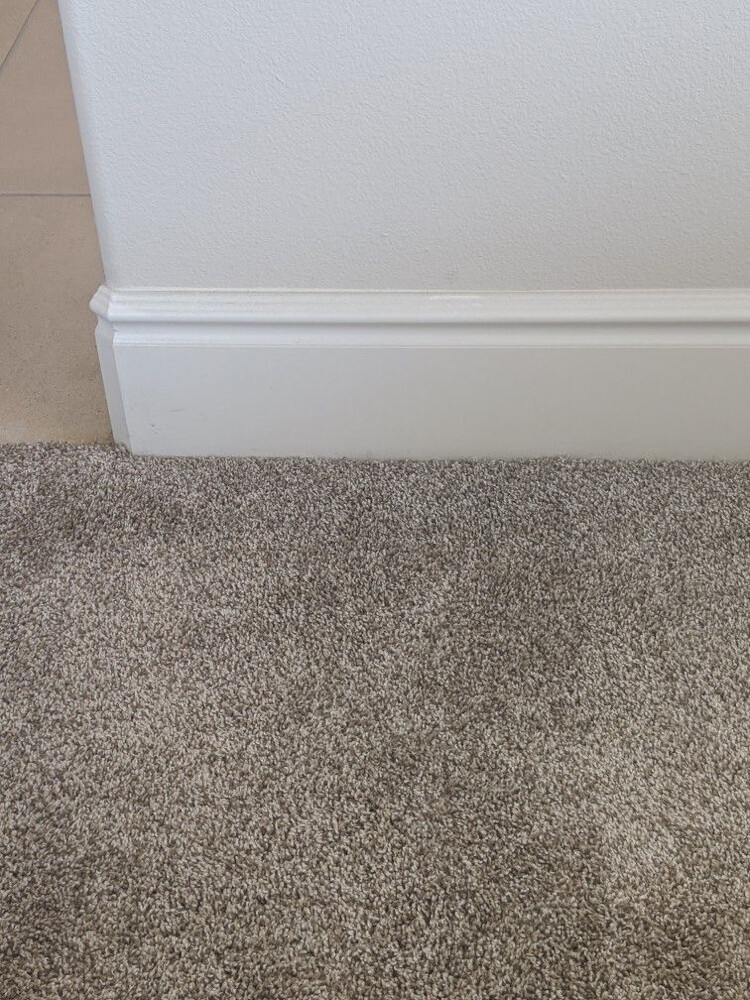 Carpet Room Stair - 7