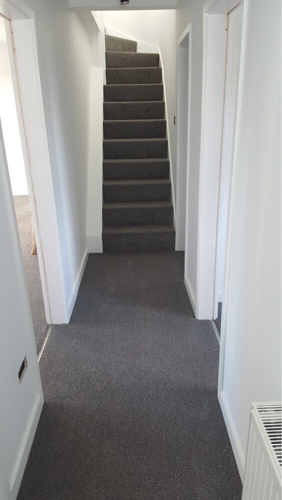 Carpet Room Stair - 2