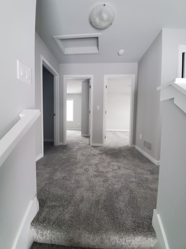 Carpet Room Stair - 4