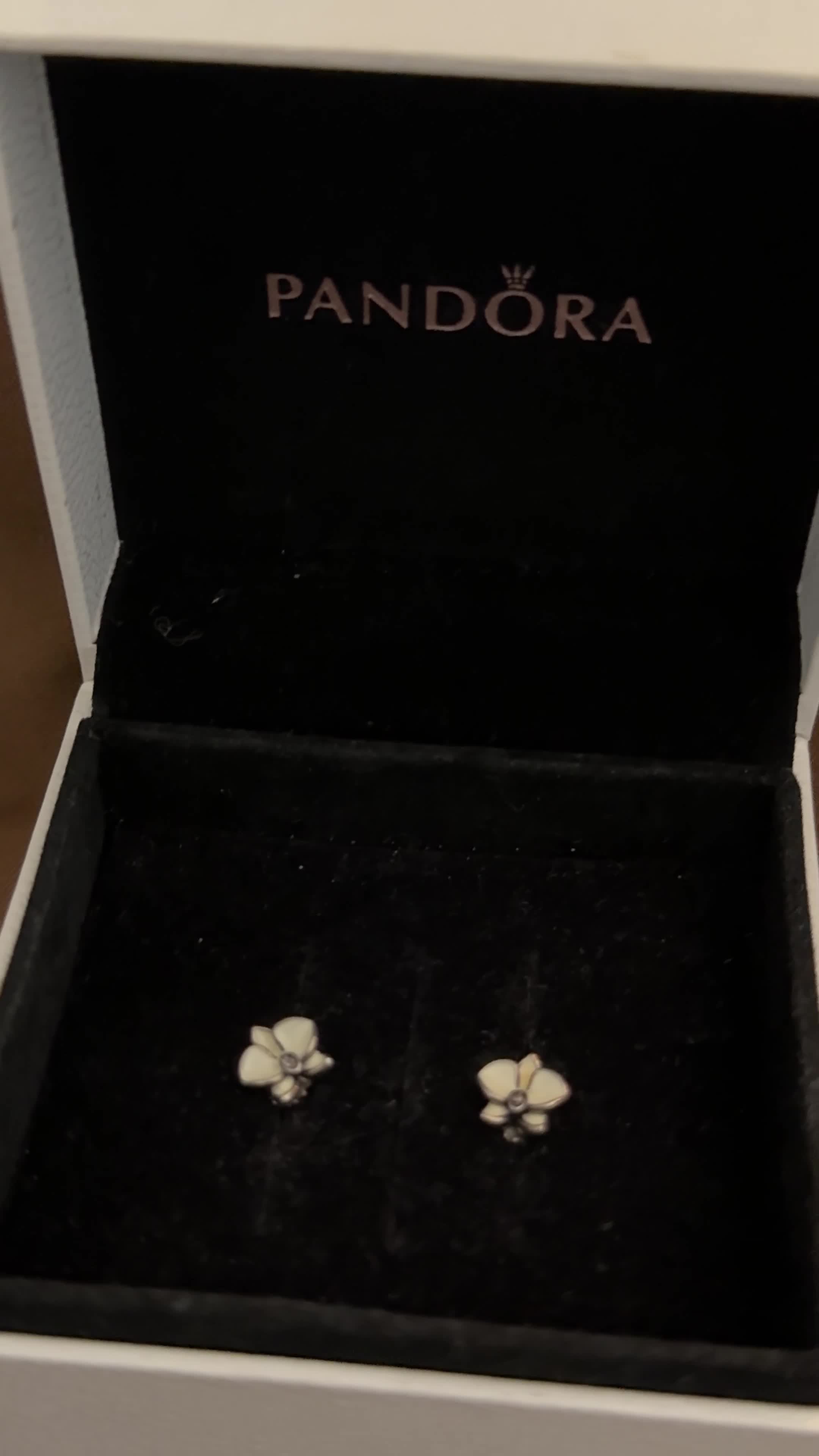 PANDORA DAISY (ORIGINAL) - 4