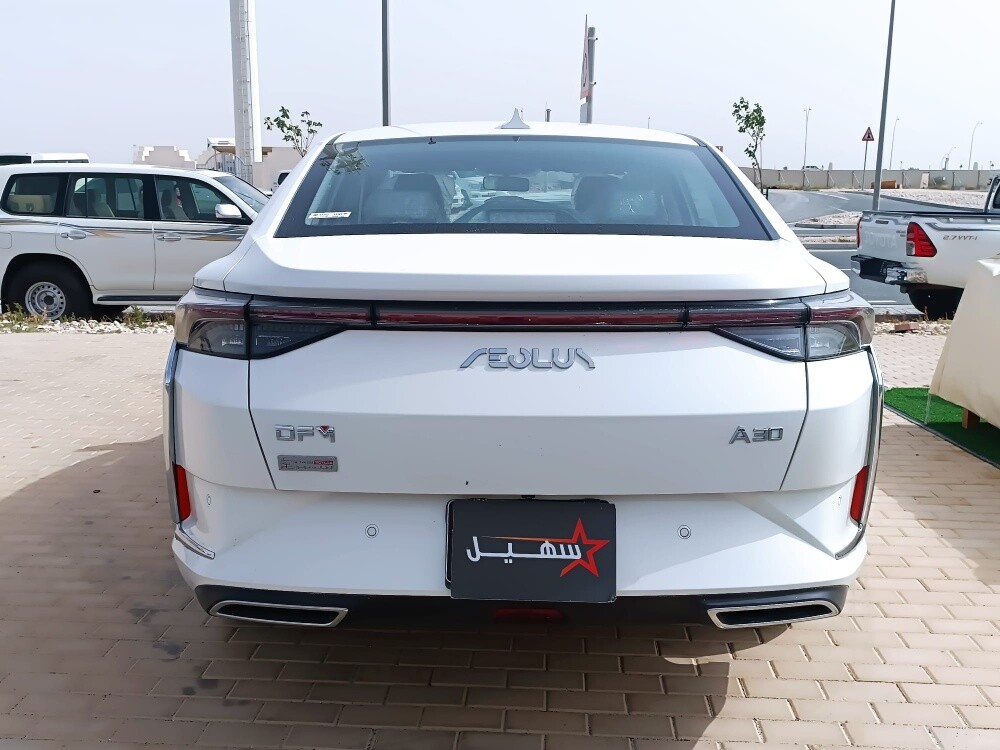 دونج فنج اي 30 نظيفة 2023 - 4