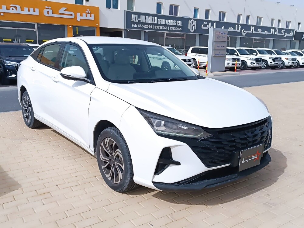 دونج فنج اي 30 نظيفة 2023 - 5