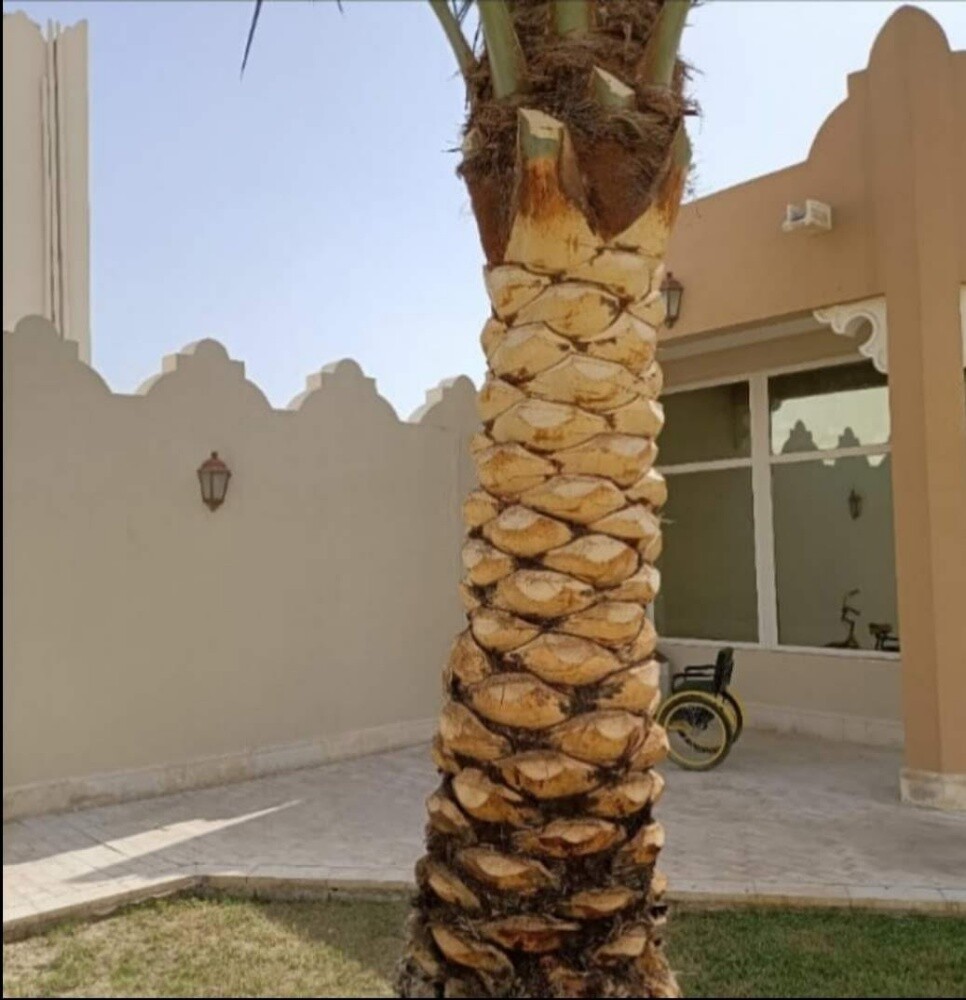 مهندس زراعى - 4