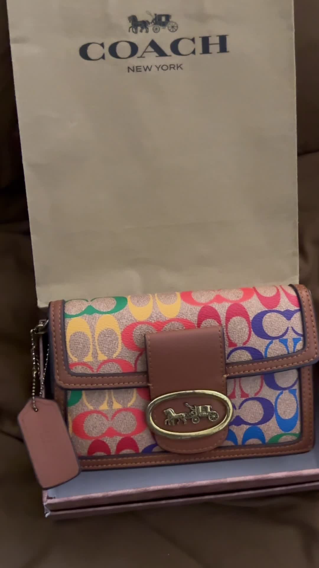 COACH BAG (Small) - 6