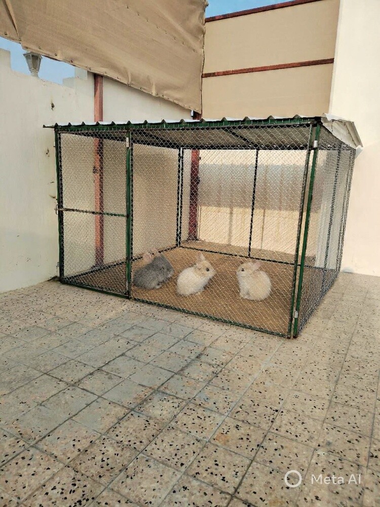 تركيب القفص - 3