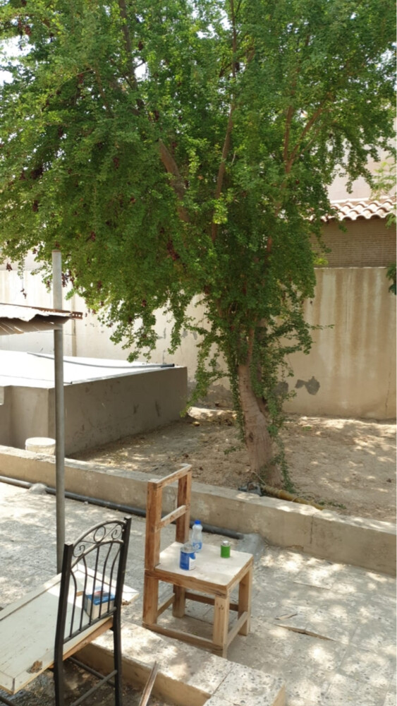 قطع الا شخار ونقل النخيل  - 1