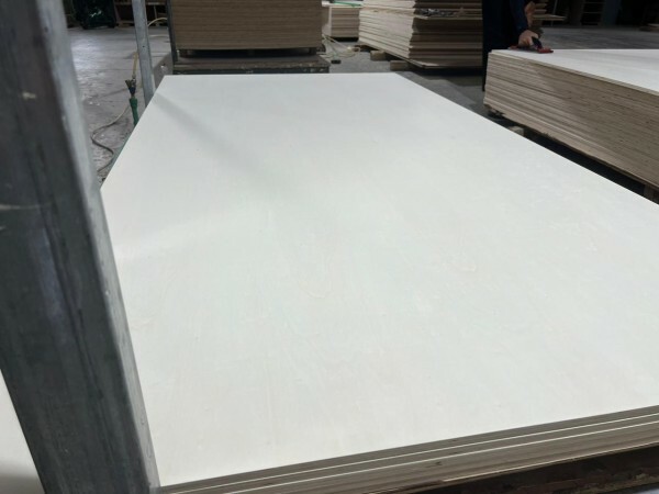 Birch Plywood 18mm & 12mm  Expor - 4