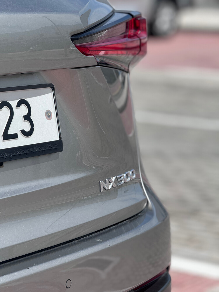 lexus nx300 - 9