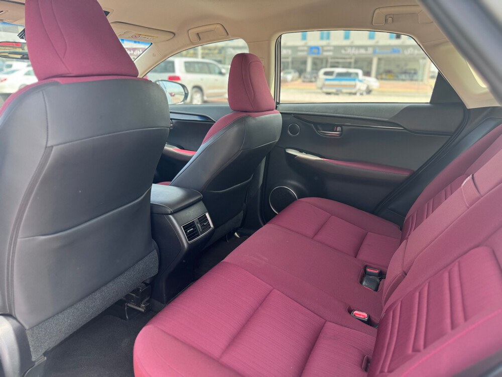 lexus nx300 - 10