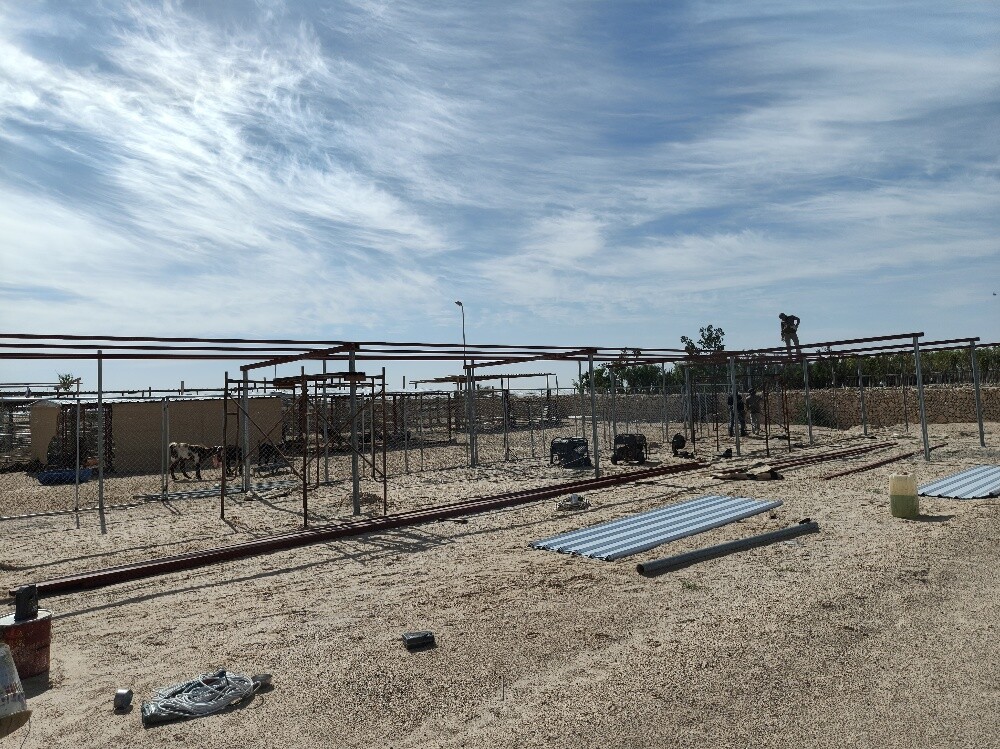 عريش - 5