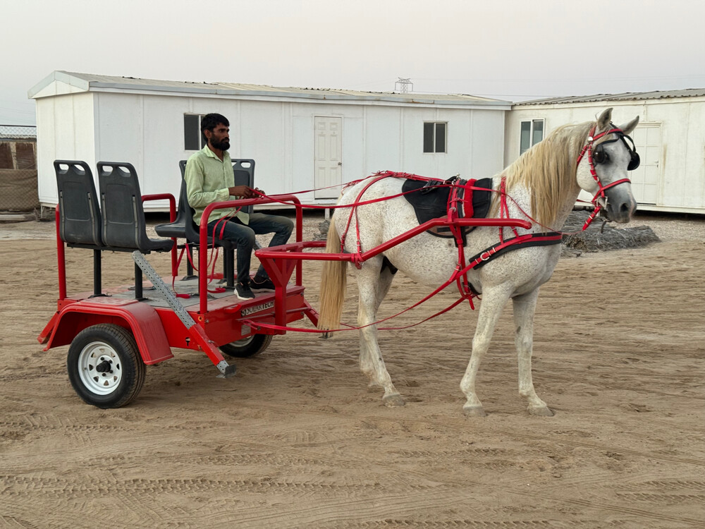 Horse buggy - 1