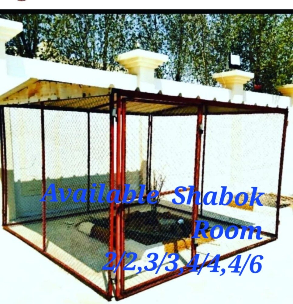 Available allkind of ready shabok - 9
