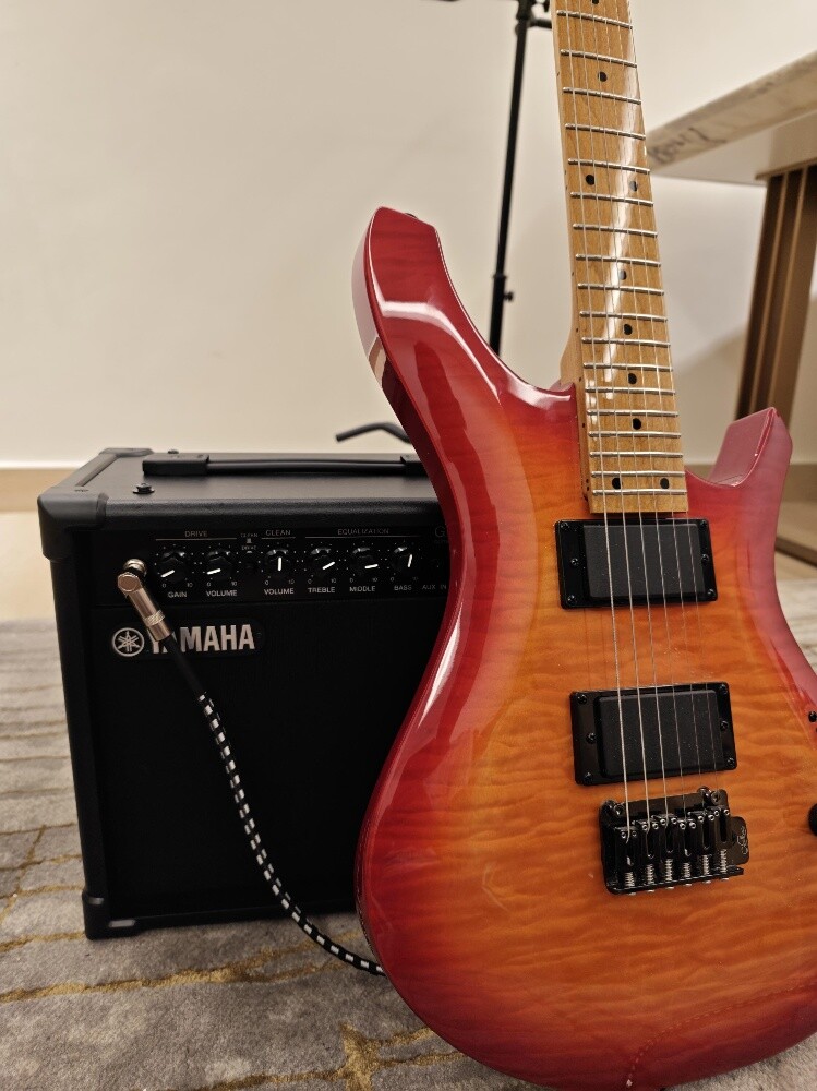 Electric Guitar Fullset with amp - 5