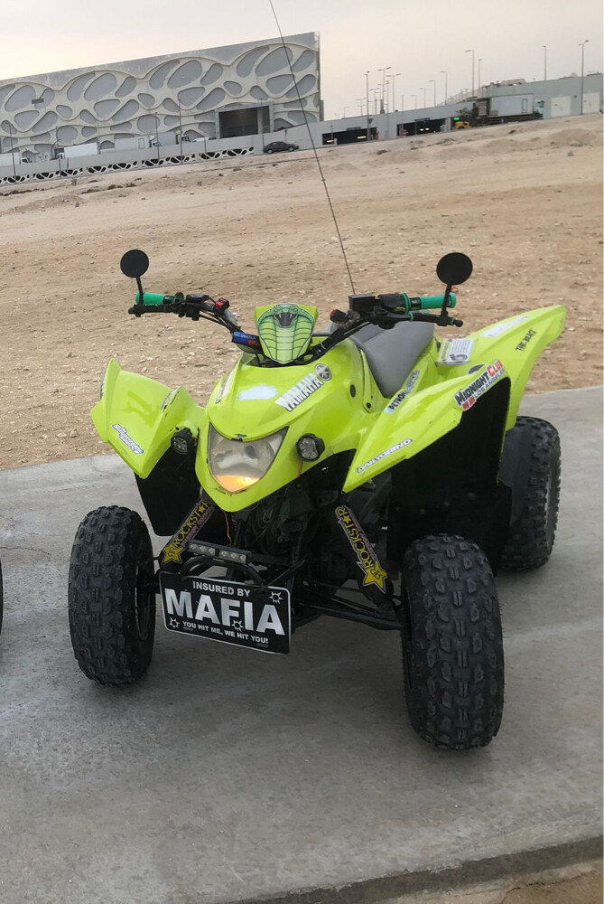 aeon cobra 100cc - 2