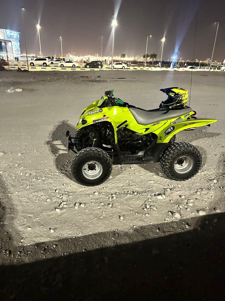 aeon cobra 100cc - 5