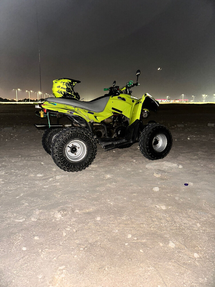 aeon cobra 100cc - 6