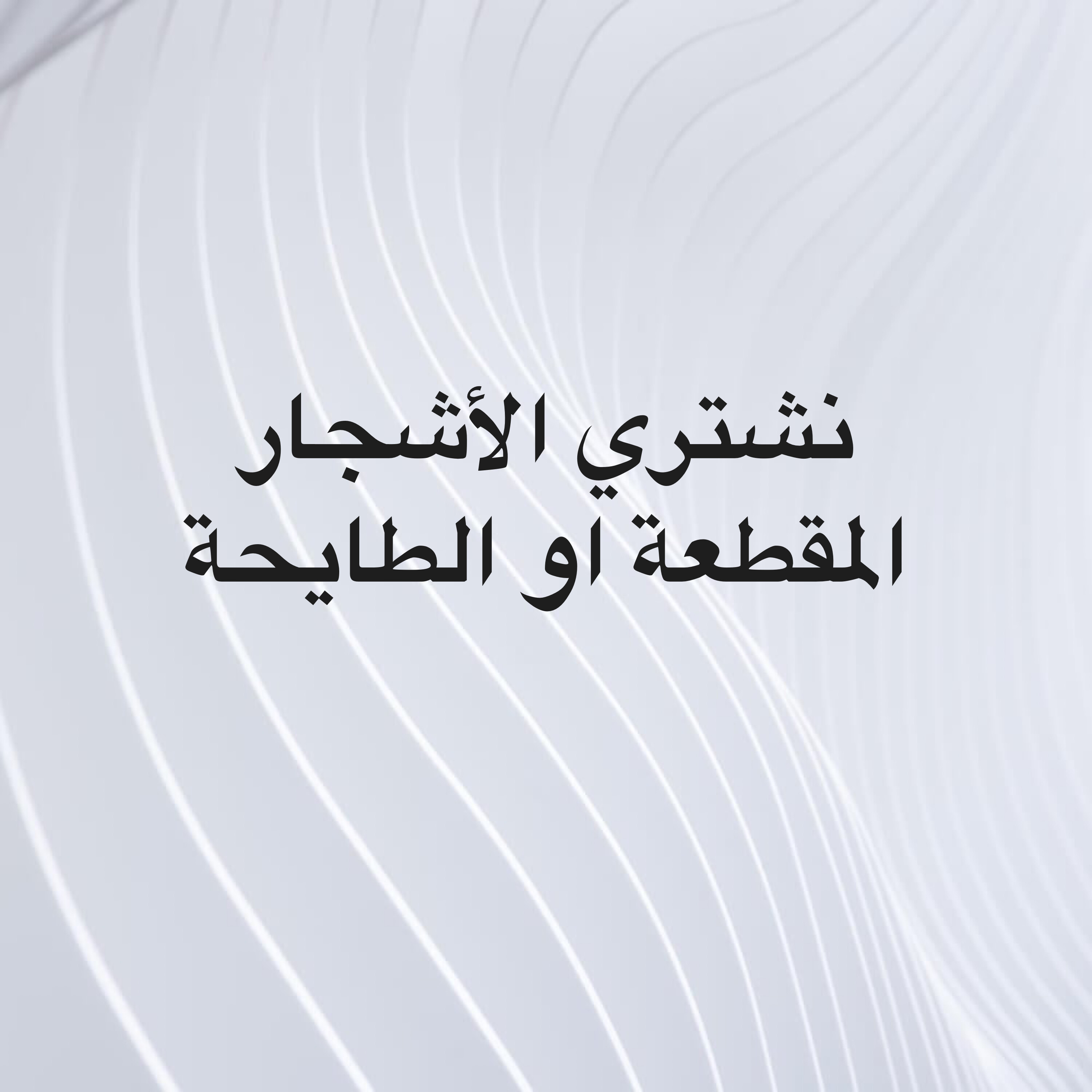 نشتري الأشجار - 1