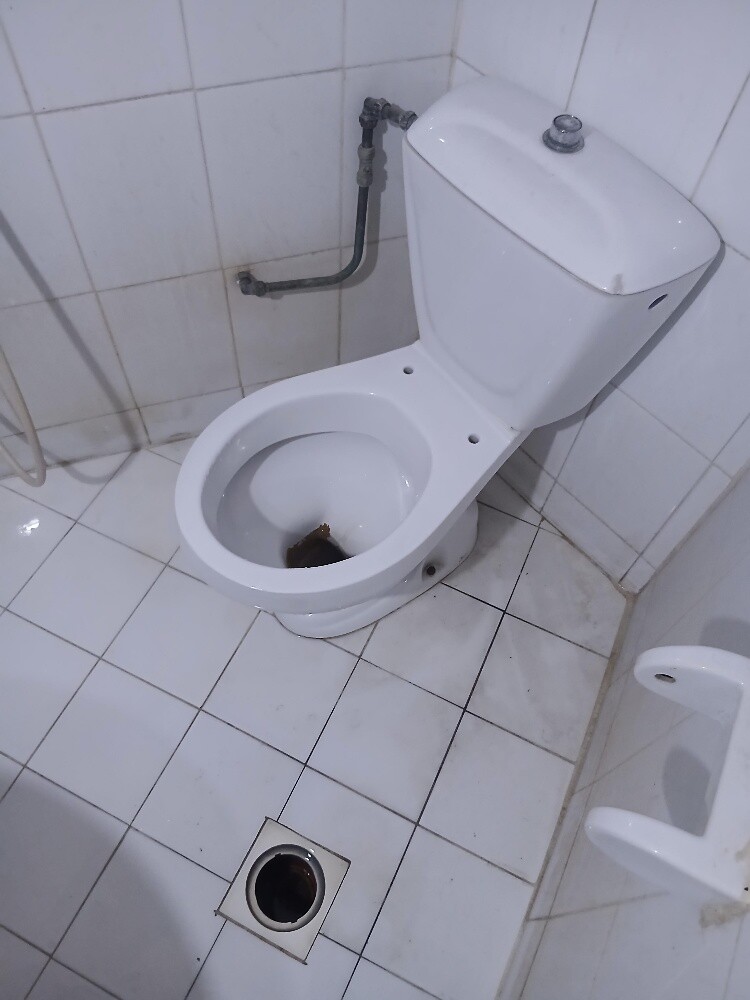 ٣٠ سنه خبره اعما ل سباكه تاسيس و - 1