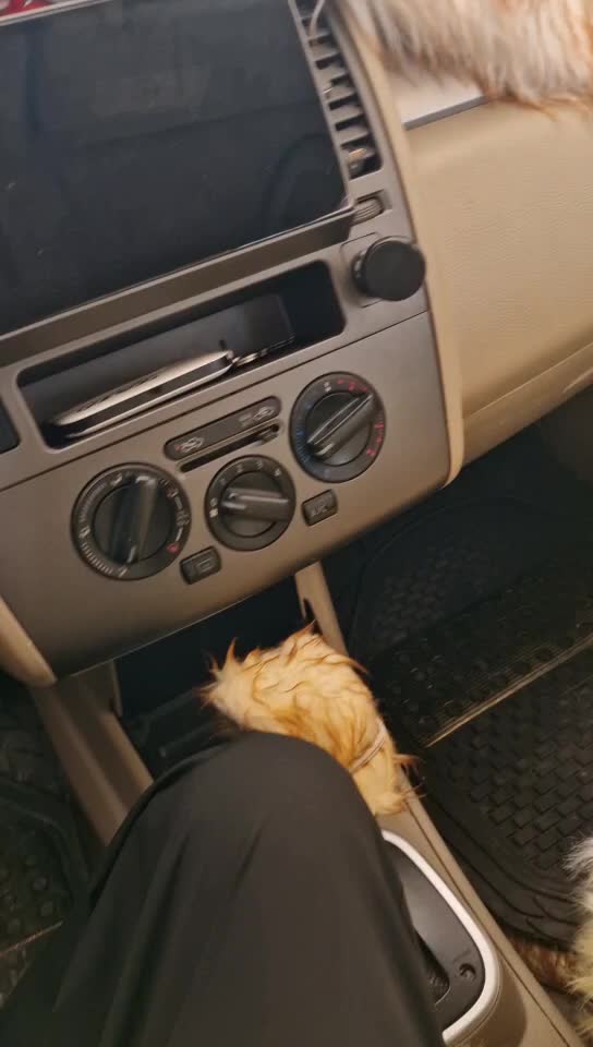 نيسان تيدا - 5