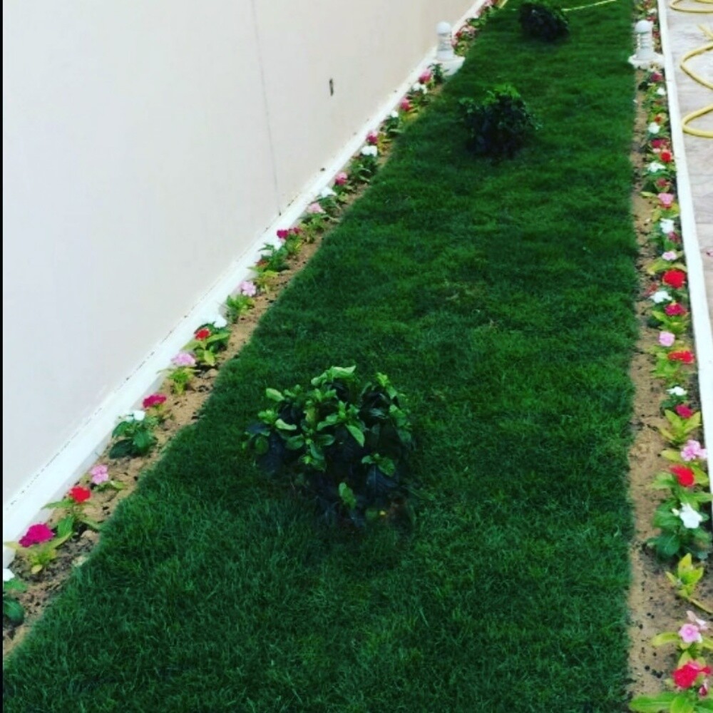 If you need gardeners please cont. - 2