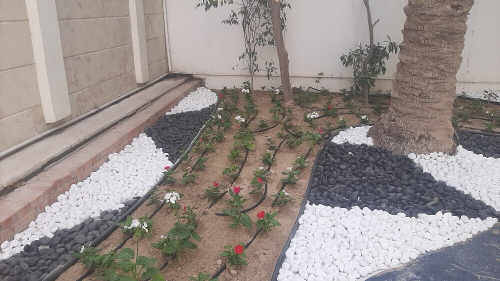 If you need gardeners please cont. - 11