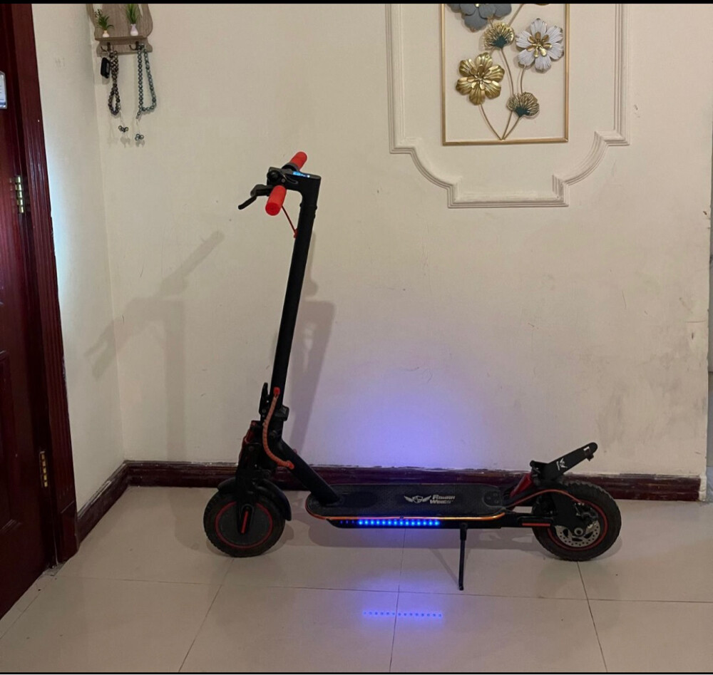 rohanwings/e-scooter/tubelesstyre - 3