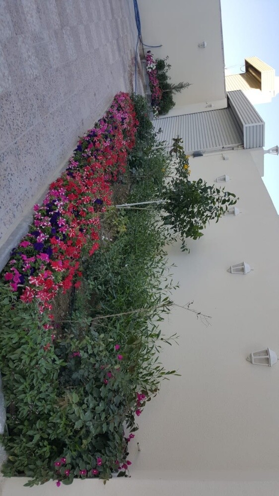 منسق حدائق جميله 55079950 - 6