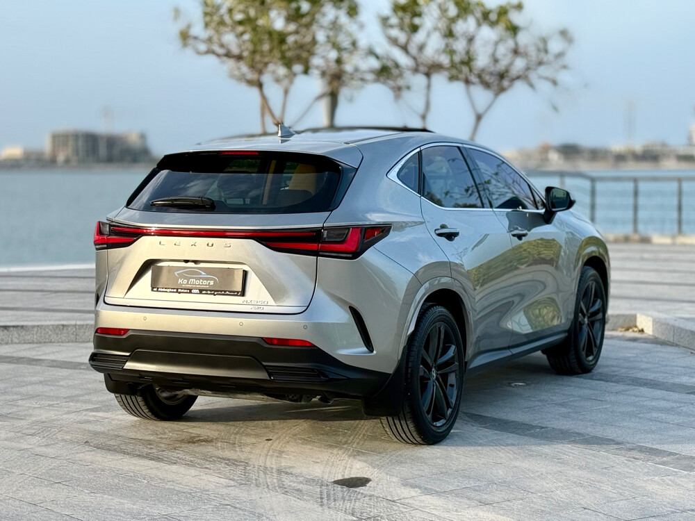 Lexus NX 350 model 2025 — photo 17 for sale in Qatar