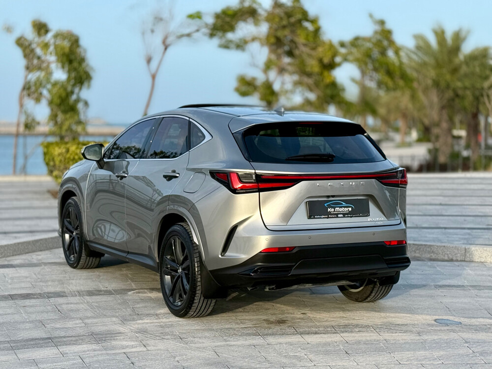 Lexus NX 350 model 2025 — photo 11 for sale in Qatar
