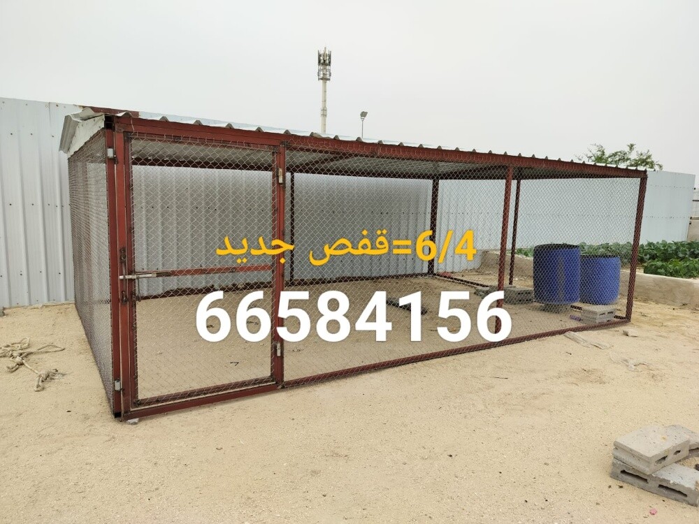 4/6 =قفص جديد - 2