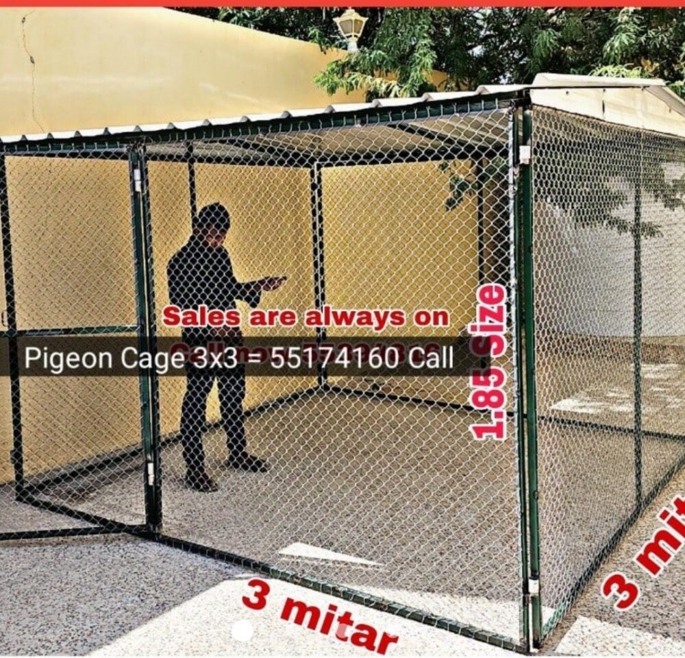 Pigeon and chicken cage - 3
