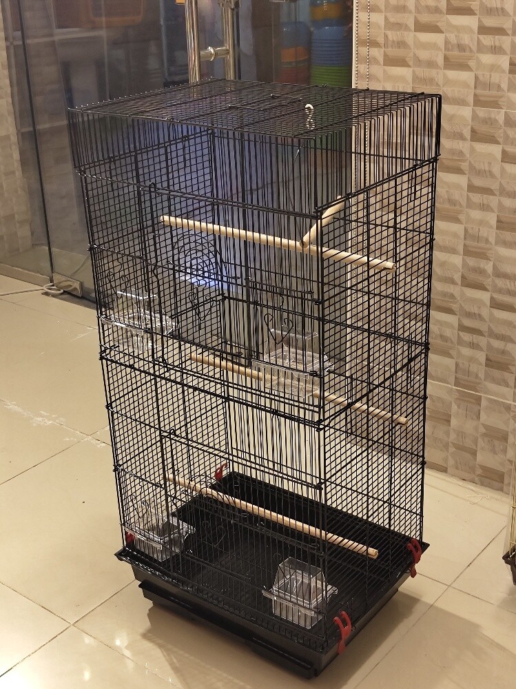 birds cages new - 2
