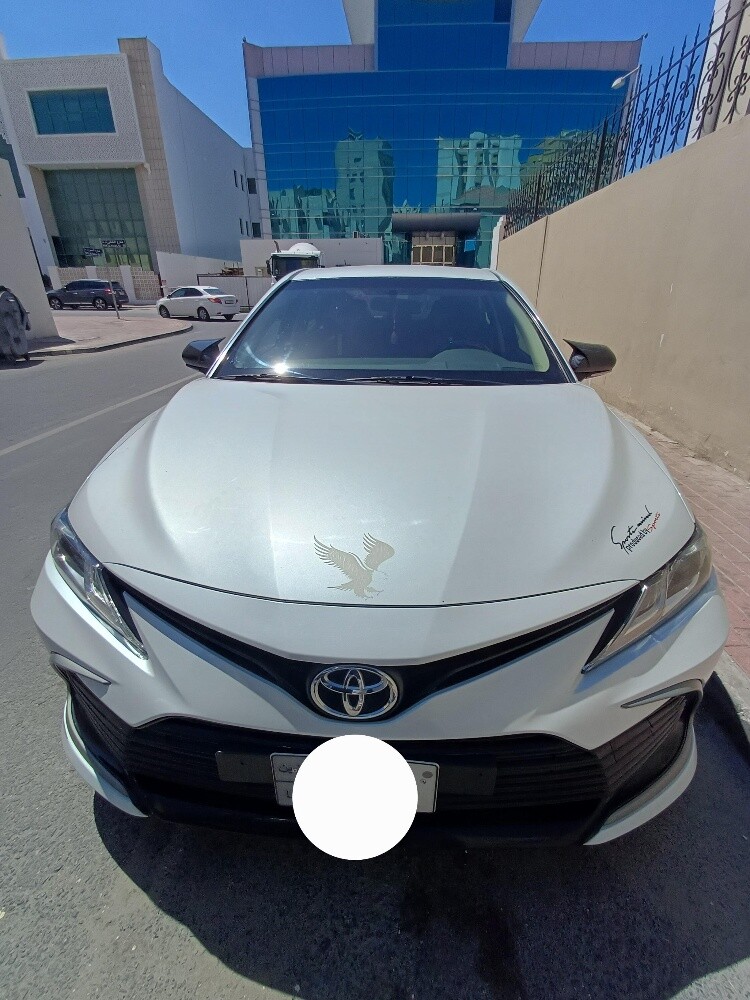 Mahadi Hasan — photo 1 for sale in Qatar
