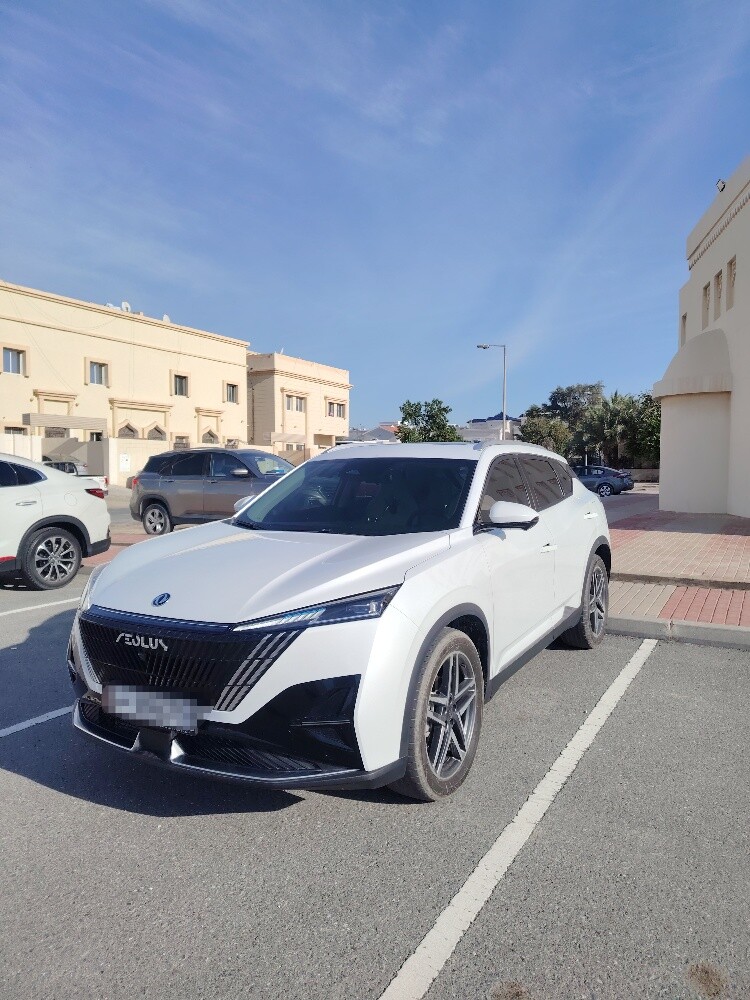 Dongfeng Mage 2025 low mileage — photo 1 for sale in Qatar