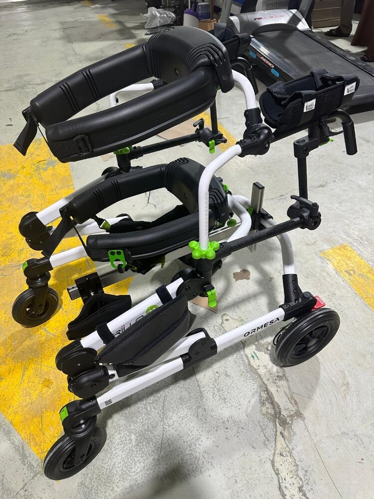medical device to help walking - 2