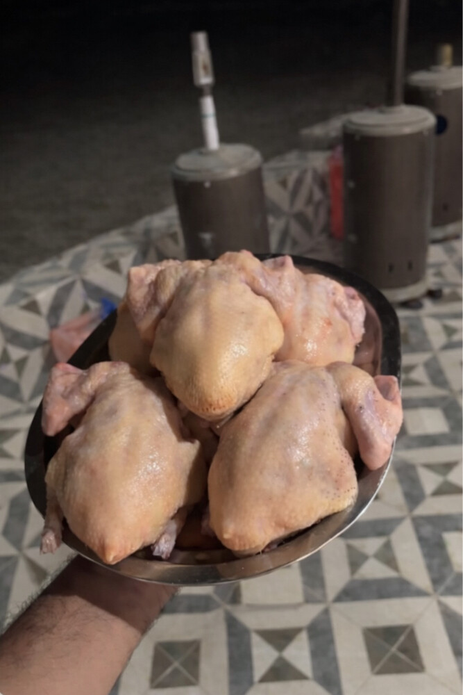 حمام لاحم زبببدة - 3