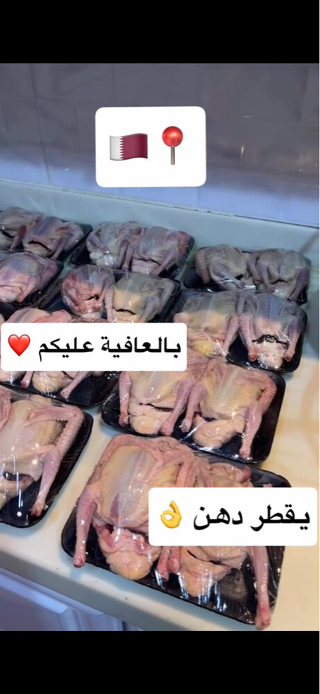 حمام لاحم زبببدة - 1