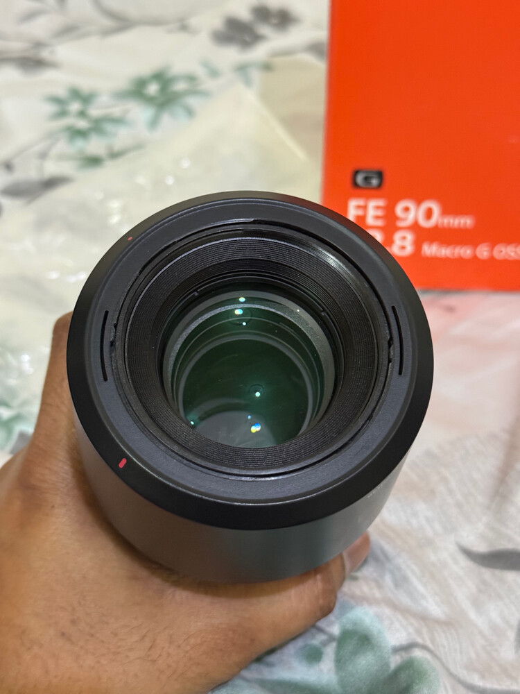 Sony 90mm macro lens  - 2
