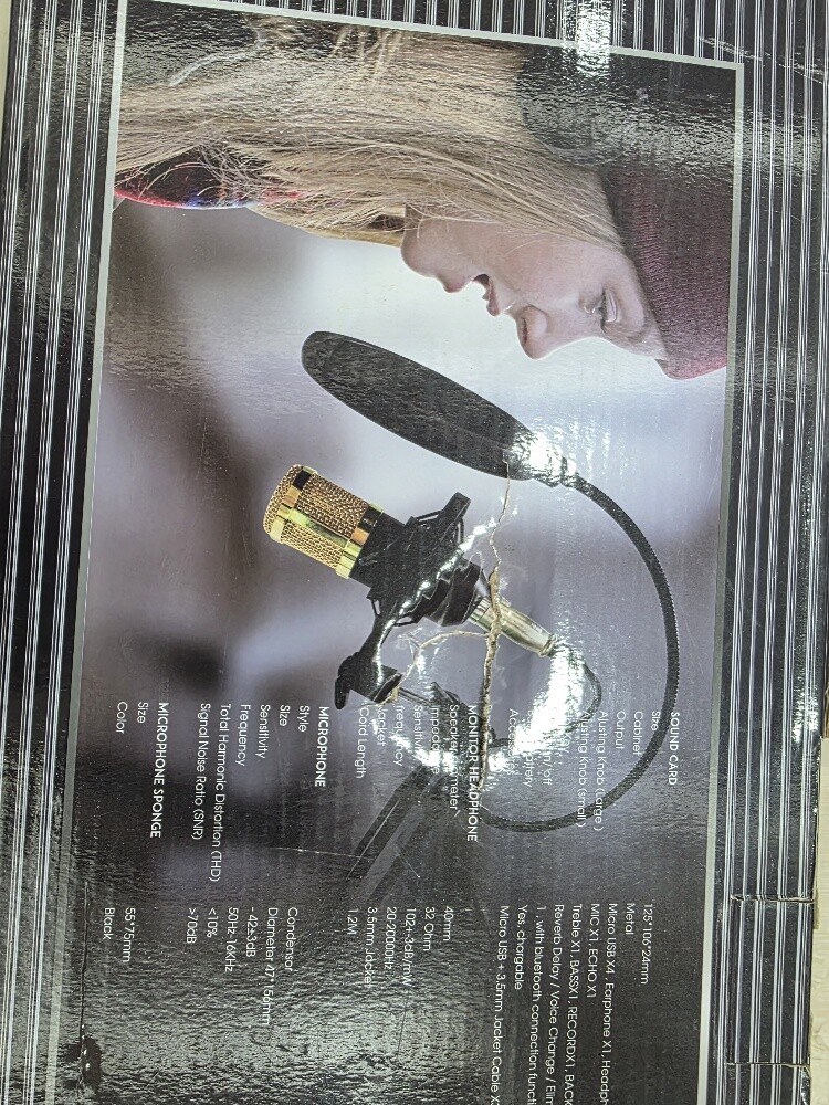 professional Microphone - 1