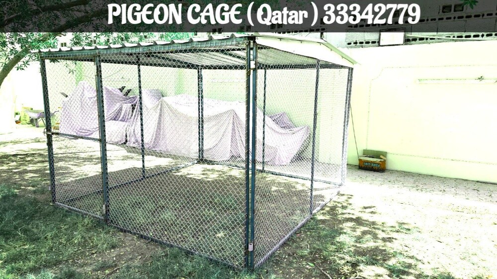 pigeon House 2/2 - 2
