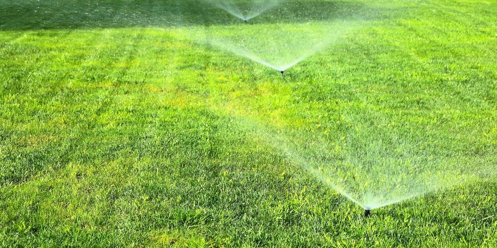 تنظيم الحدائق والعشب وشبكات الري - 3
