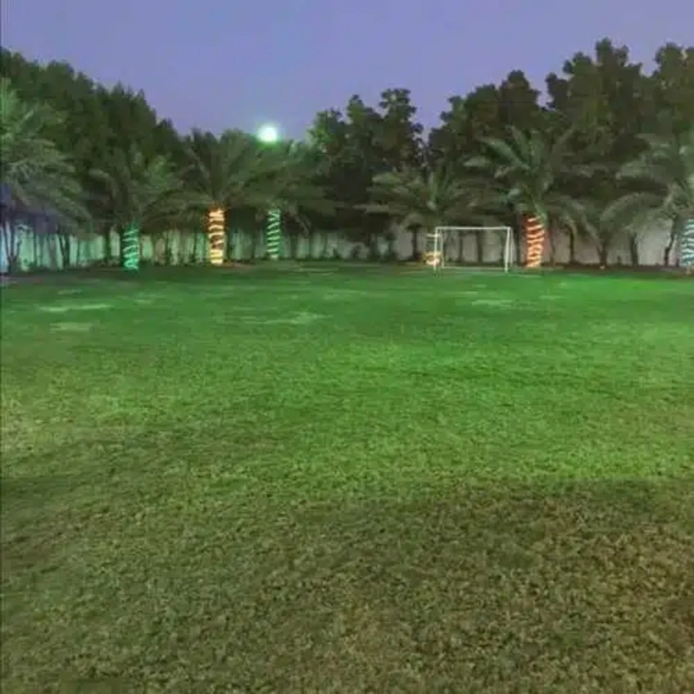 تنظيم الحدائق والعشب وشبكات الري - 5
