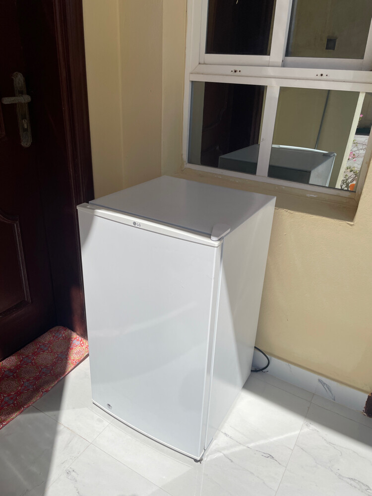 LG fridge Compressor not working - 1