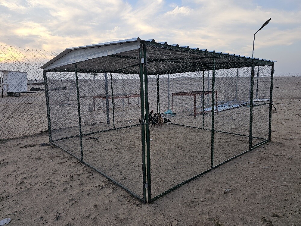 Pigeon cage 2/2 - 6