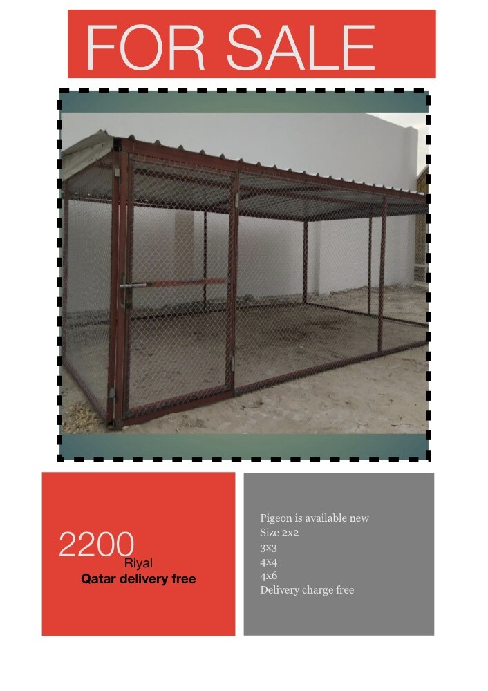Pigeon cage 2/2 - 4