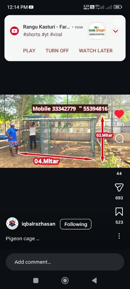 Pigeon cage 2/2 - 2