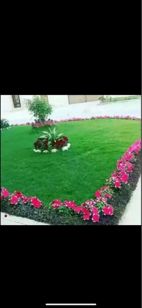 الديكورات المودرن - 20