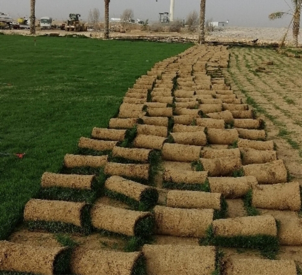 الديكورات المودرن - 30